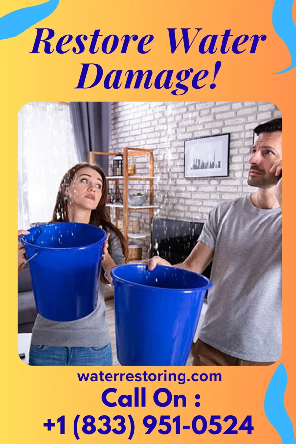 water restoration Peak Sewage Cleanup Inc York Springs
