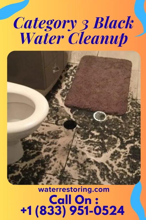 Category 3 Black Water Cleanup in York Springs, PA
