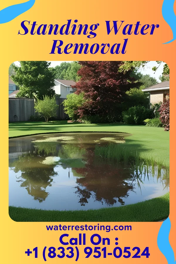 Standing Water Removal in York Springs, PA